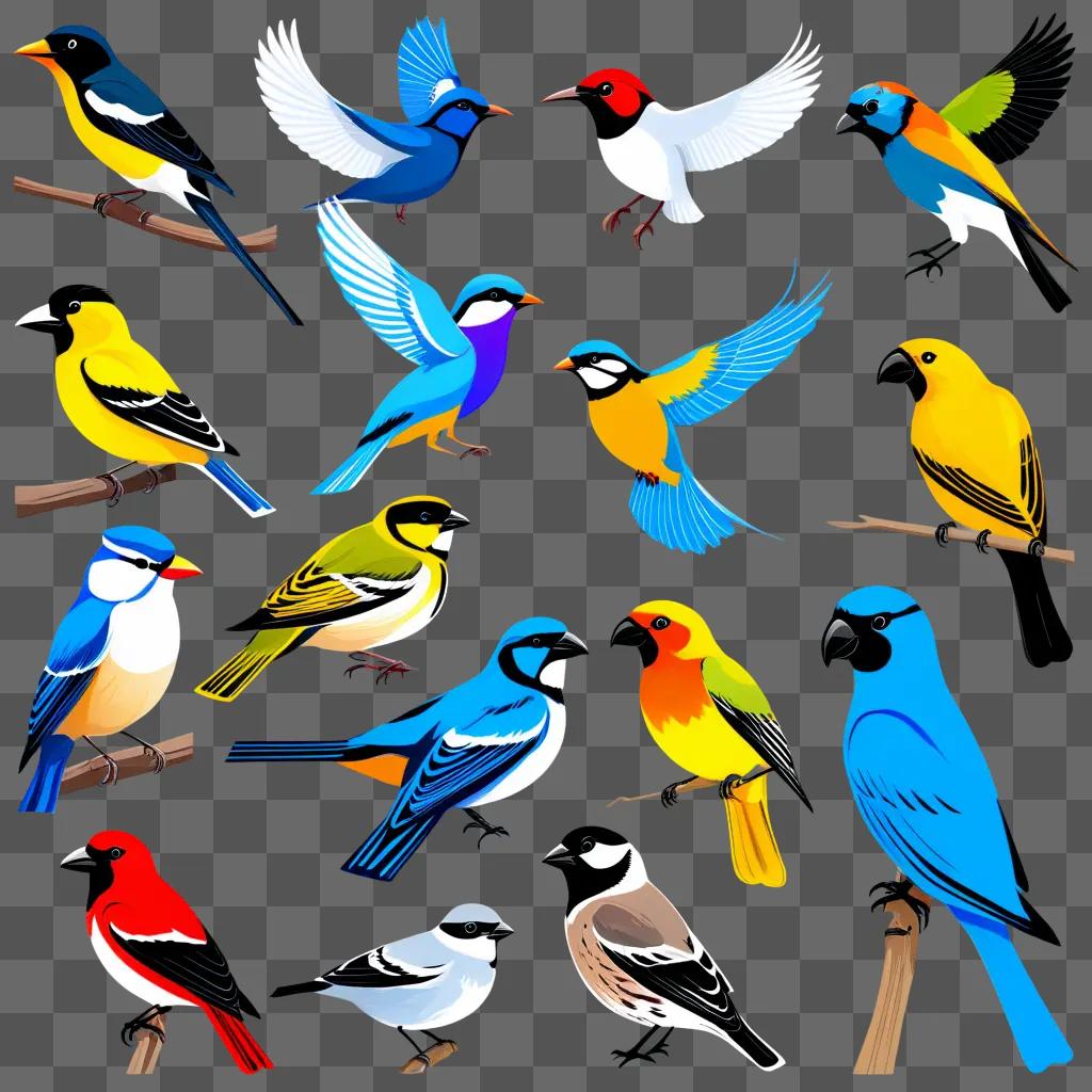 collage of various colorful birds in flight